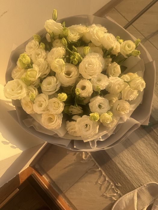 Цветы розы продам