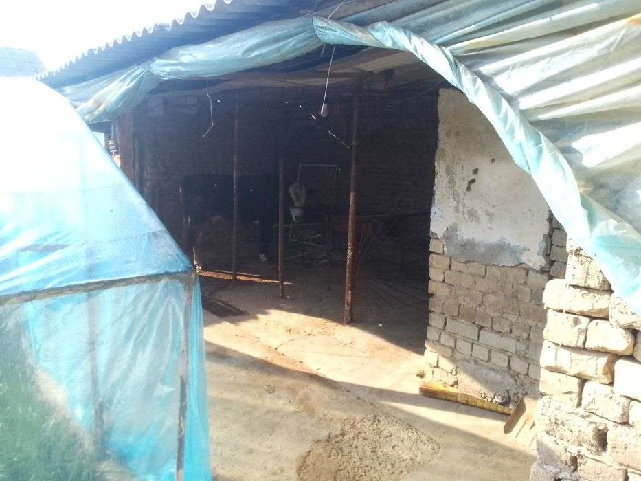 Янгийўл тумани М34 йўлида 4 соток ҳовли сотилади