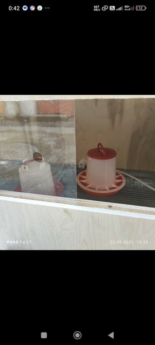 Брудер для цыплят