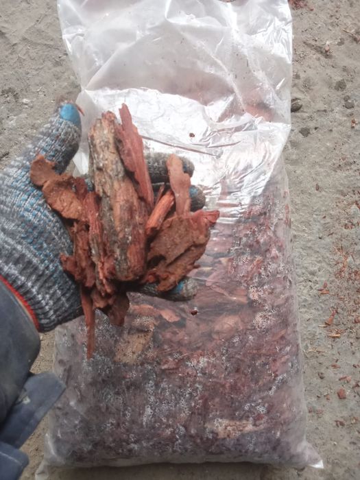 Кора лиственницы оптом