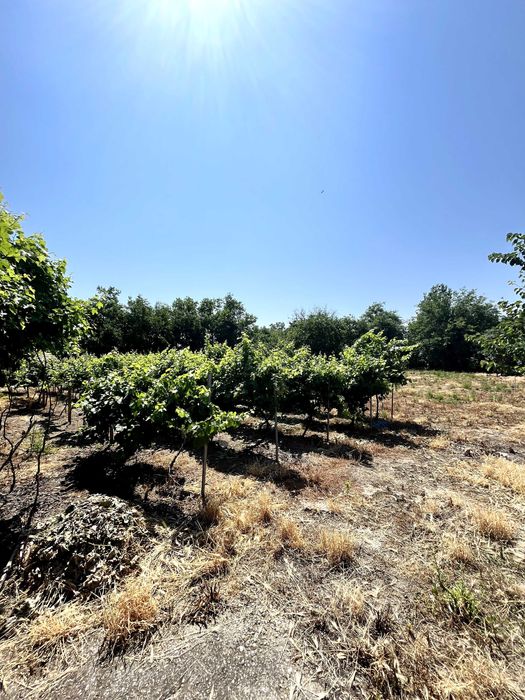 Продава се Къща в Съединение - 195 кв.м за 770 €/кв.м - Снимка #14