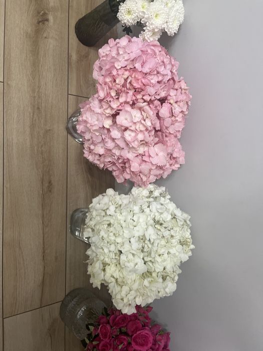 1000тенге алындар апшемдыкы