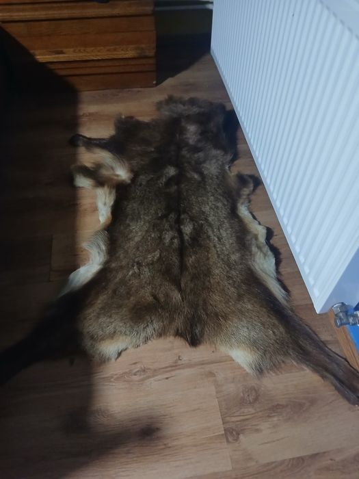 Blana naturală 130 /60