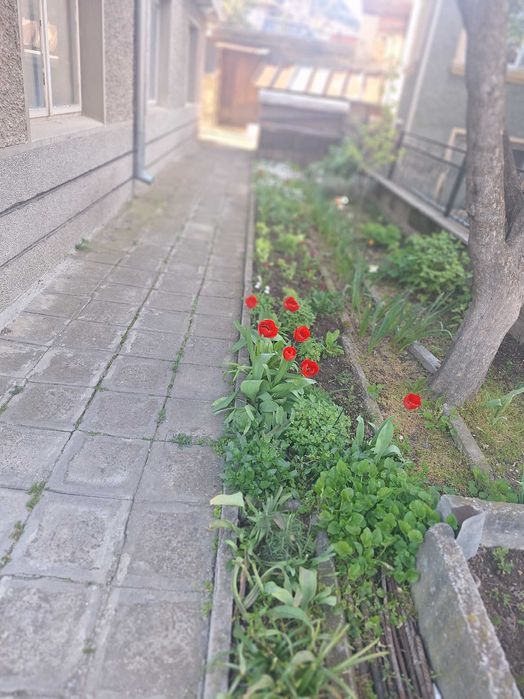 Продава се Етаж от къща в Провадия - 125 кв.м за 763 €/кв.м - Снимка #2