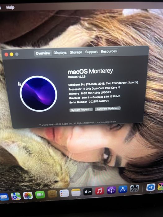 Macbook pro 13 (2016)