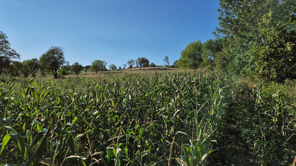 Teren intravilan la câteva minute de Deva