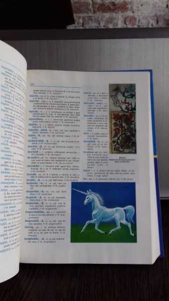 DEIR Dictionar explicativ ilustrat al Limbii Române studiu elevi studenti