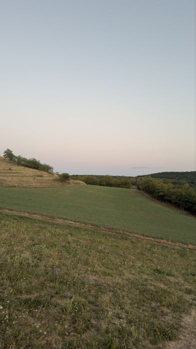 Teren extravilan Hamba 2 parcele 7000mp2
