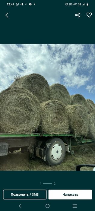 Ролон шөп сатылады