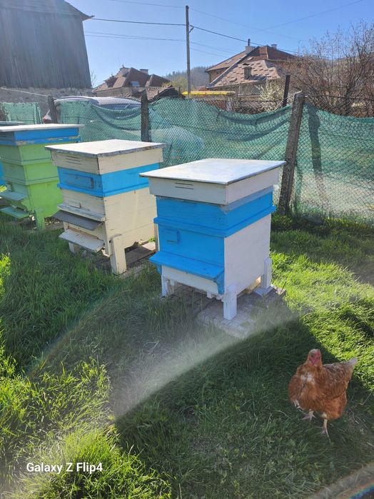 Кошер втора употреба