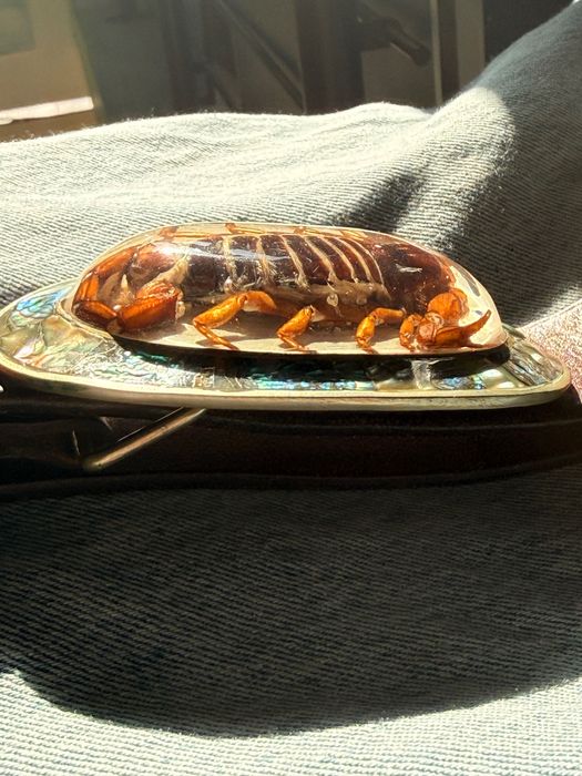 Уникален колан от Мексико със СКОРПИОН и седеф – ръчна изработка