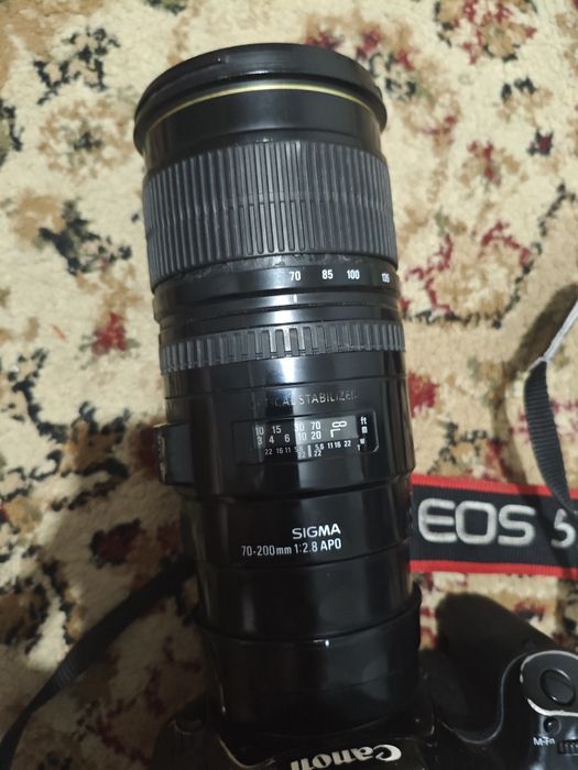 Canon 5d mark3 + sigma 70-200