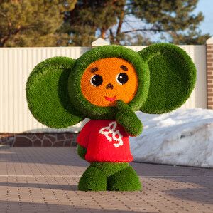 Топиарий на заказ