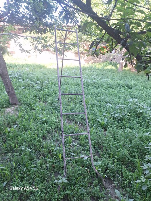 Охир мол куйларга