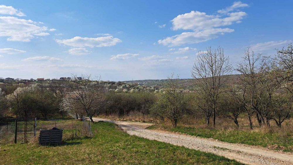 Vand teren intravilan zona Gheorghe Doja Oradea