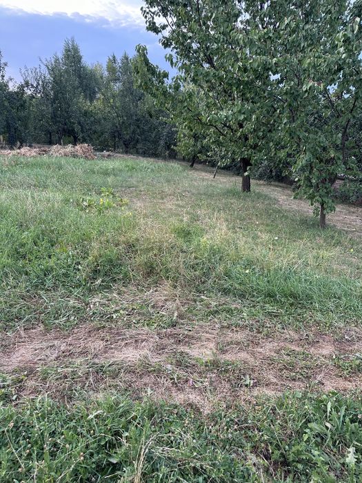 Teren intravilan parcele de vanzare în Cihei - Sânmartin