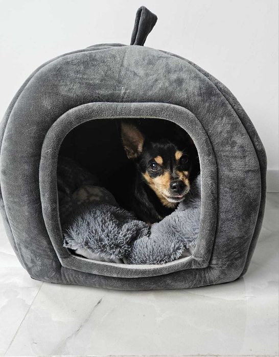 Къщичка за куче или коте