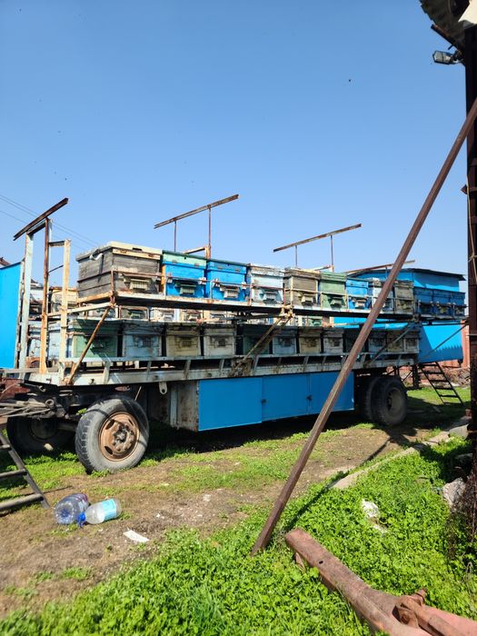 Продаётся пчелоприцеп