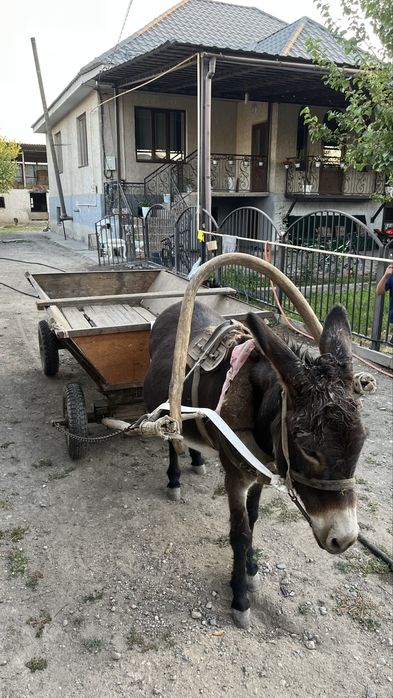 продается в комплекте