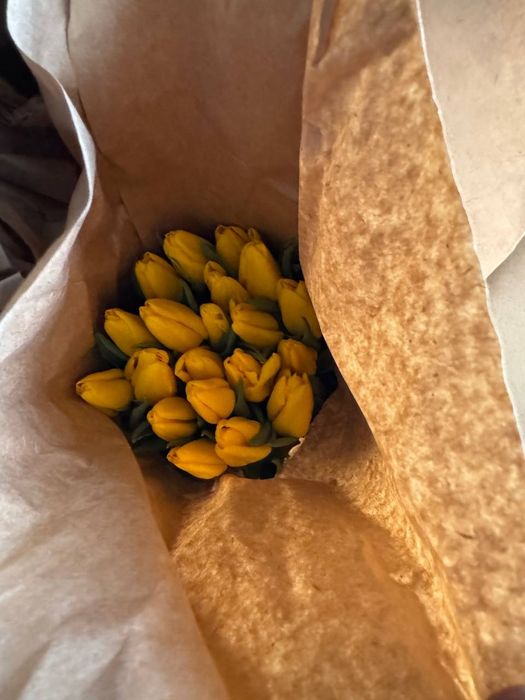 Продам тюльпаны оптом или Розничный