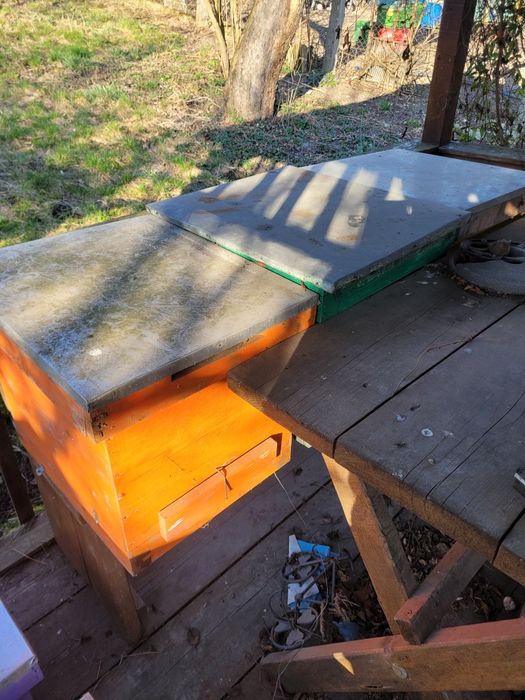 Stupi albine goi și cu rame