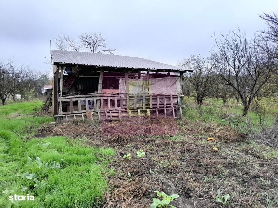 Barcanesti (Il) - Se Vinde Casa + Teren 16K Mp
