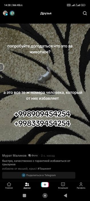 Дезинфекция/дезинсекция/дератизация