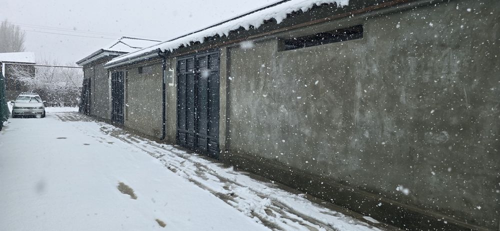 Keles shaxri abdurahmonovda Kotejlar sotiladi 1‘7 sotik4 xona