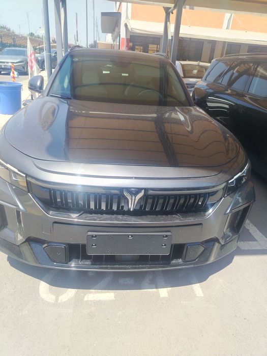 voyah free appolach 318 talik 17 000 probeg yil 25/25 krastka toza