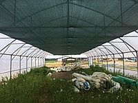 Притеняющая 90% (100 грамм)