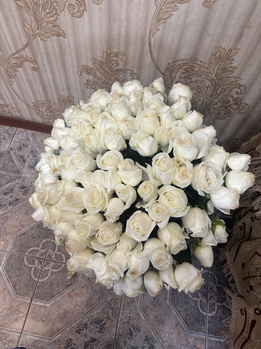 Гүл сатылады.101 ақ роза