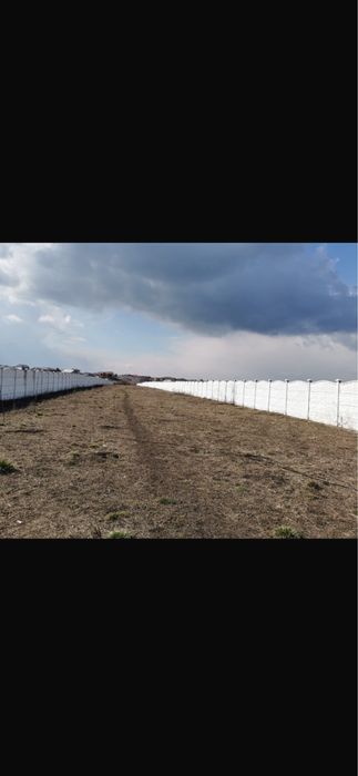 Teren de vanzare Tunari