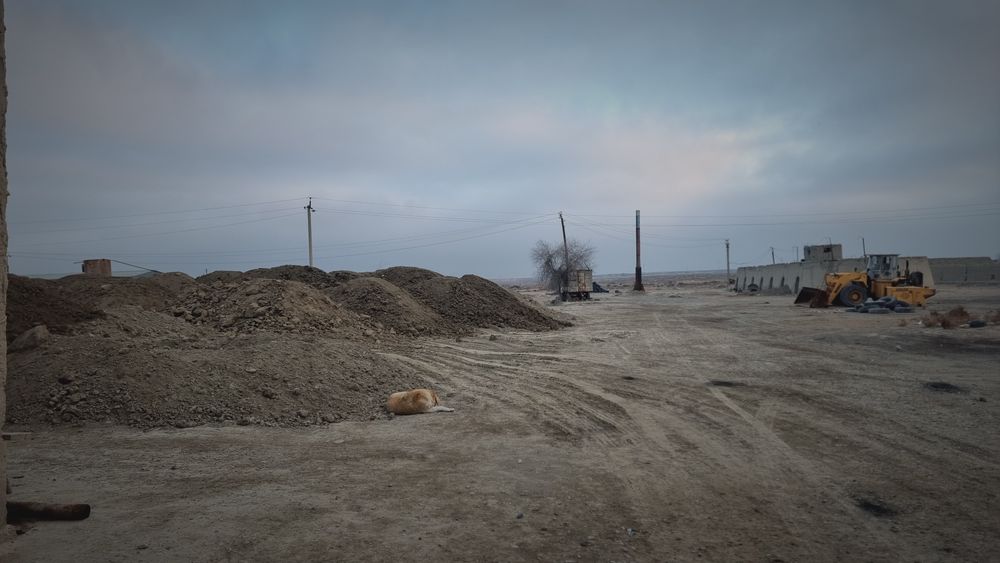 Ğish ishlab chiqarish zavodi sotiladi