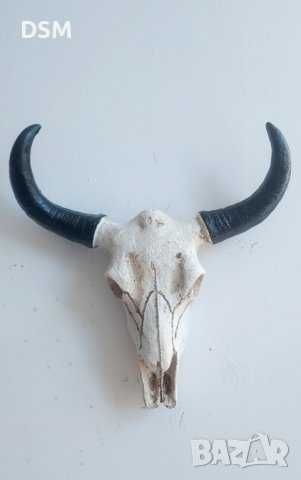 Пано Скелет с Рога на Овен за Декорация на Стена 26см
