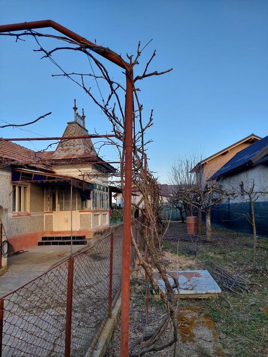 Vând casă și grădina