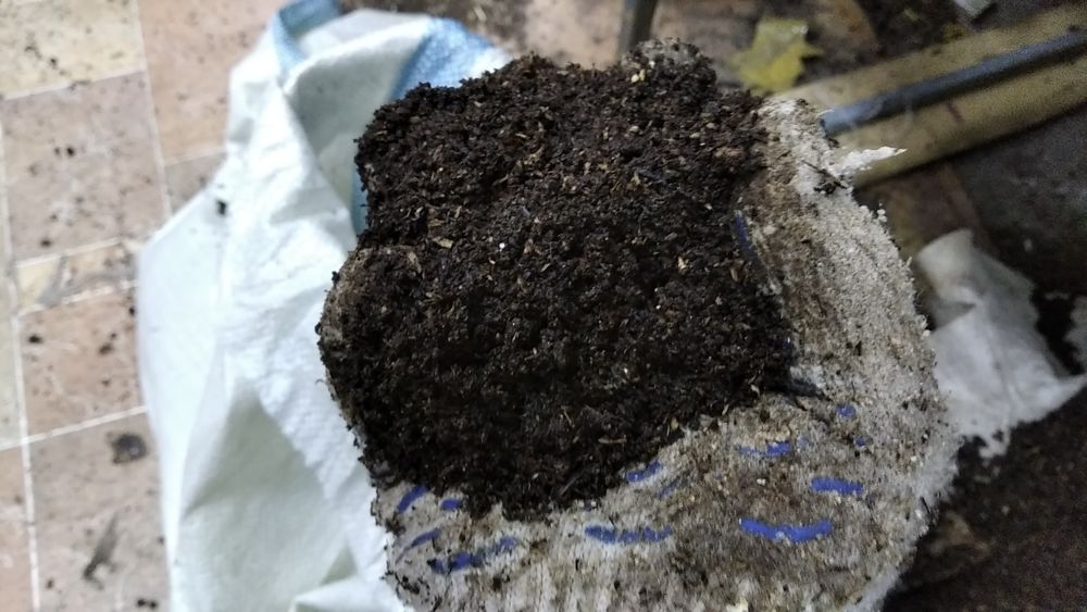 Продам биогумус из под червя