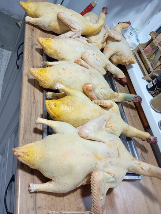 Продам гусей и индоутки