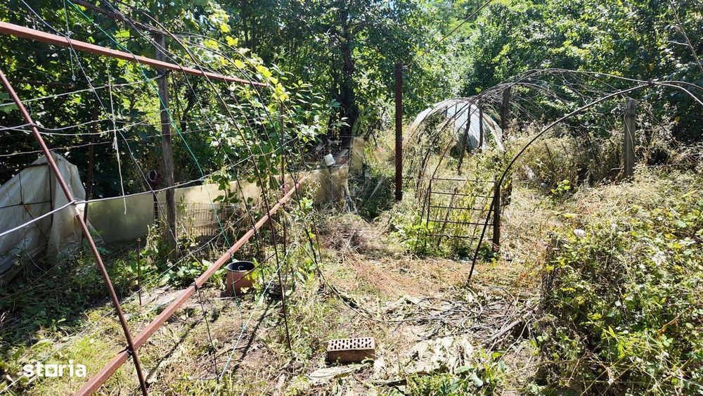 Casa 3 camere cu gradina, Baicoi, Prahova | Onix