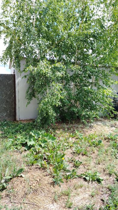 Продаётся дачный участок