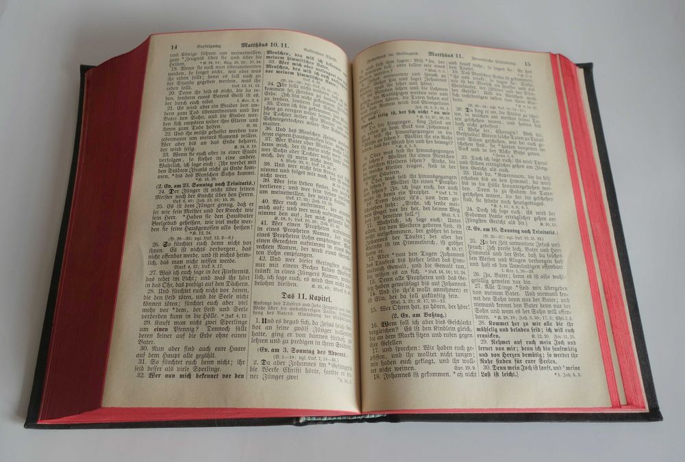 Стара Библия. 1948г. Мартин Лутер. Немски език.