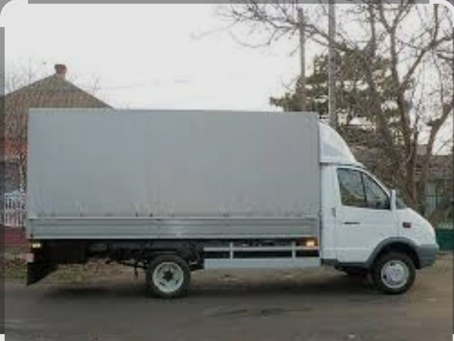 Газель жук тысымалдау