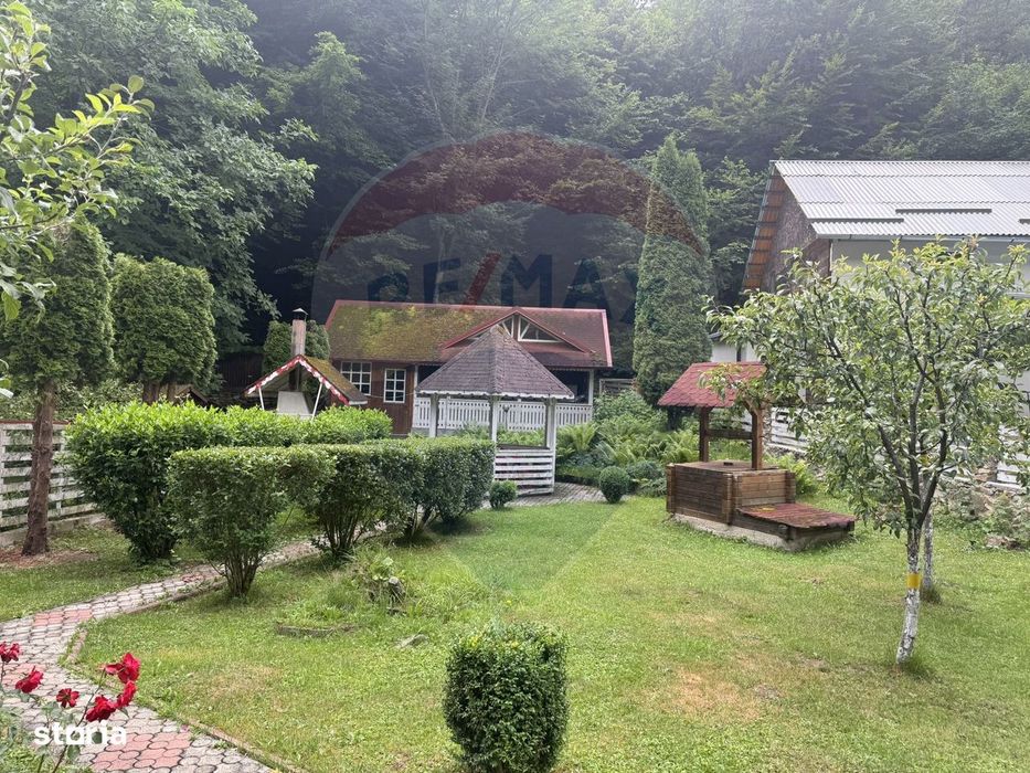 Cabana autentica de munte Frasinet - Baisoara 600 mp teren