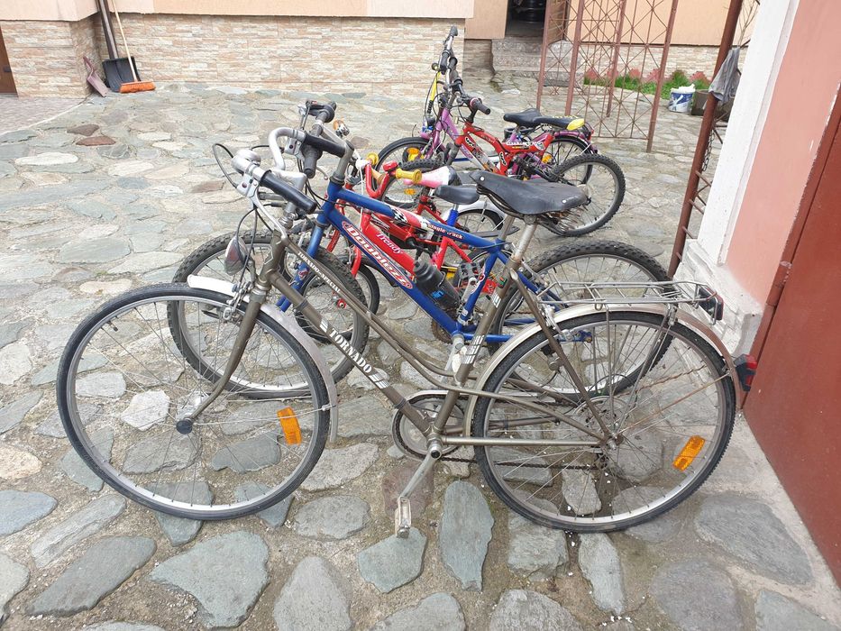Bicicleta Mountain Byke Sundance-suspensii-10-16 ani