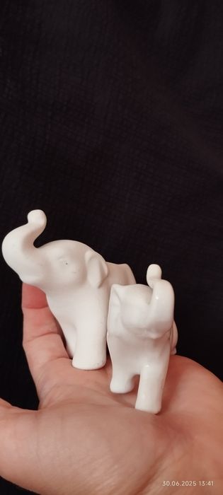 За любителите на слончета