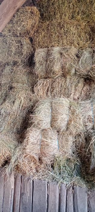 Baloți de fân 2025