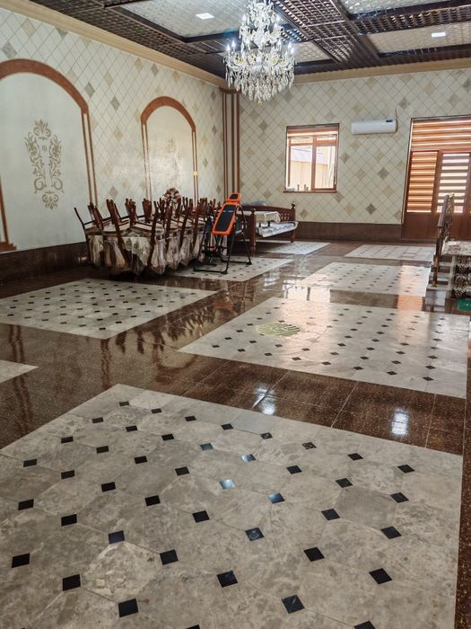 6 so'tig'lik kotej sotiladi