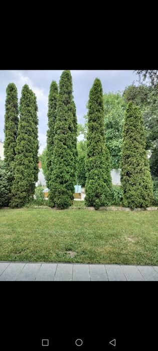 Услуги садовника Уход за садом