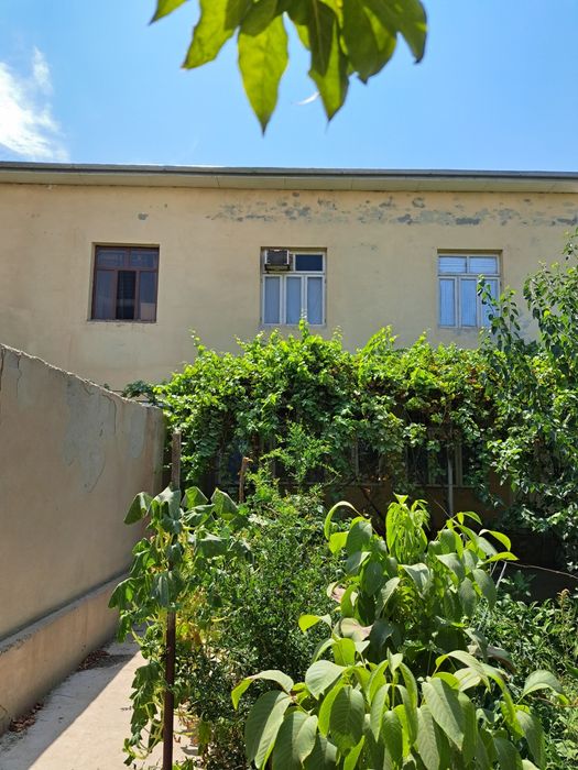 Котеж сотилади 6 сотих