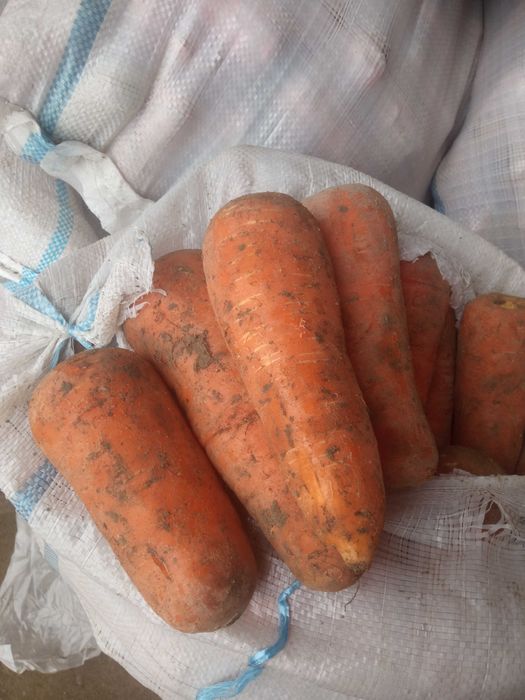 Qizil Sabzi sotiladi.