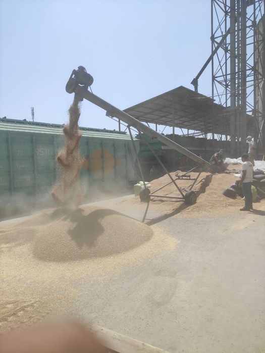 shnek uzinligi 10 metr tepaga pasta tushib chiqadi